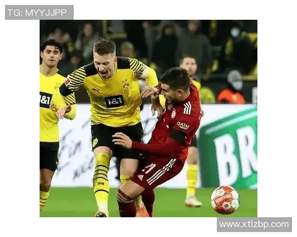 意甲激战：多特蒙德逆转拜仁绝杀瞬间引发全场狂欢数据深度分析